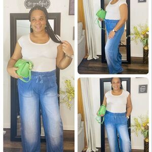 Plus Size Medium Wash Chambray Pants